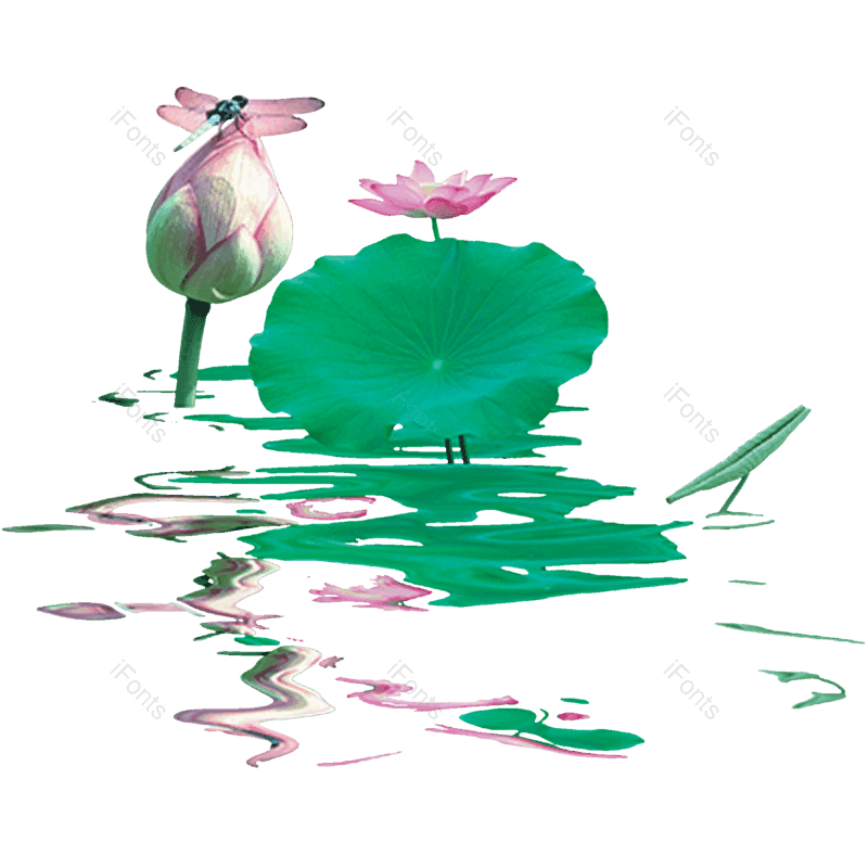 夏至图片,荷花元素,夏天PNG,花卉免抠素材